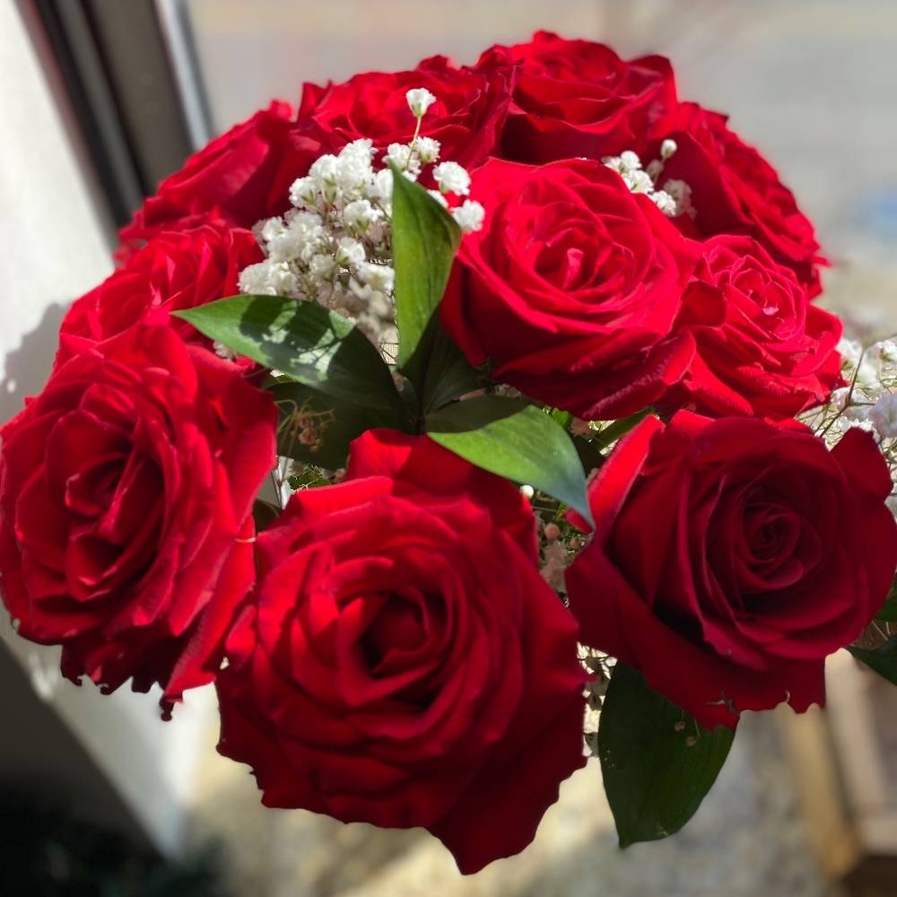 Meet your Posher, Claudia